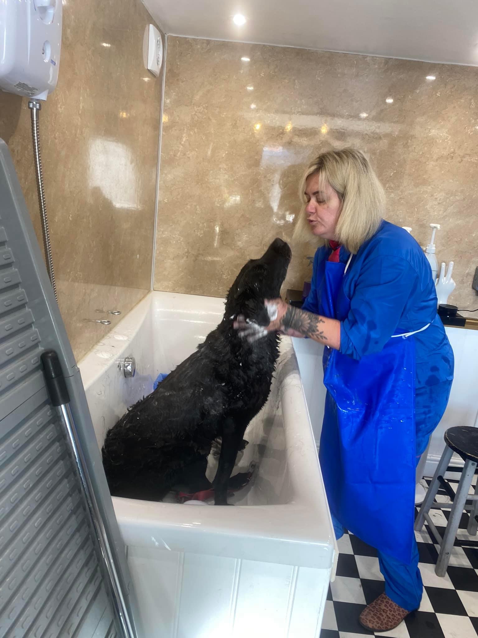 Gail bathing a black dog in the groom room bath
