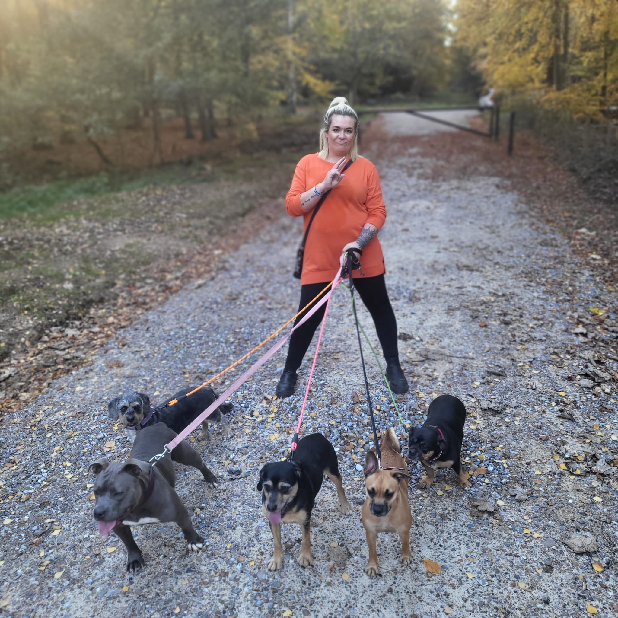 Gail on a woodland track with five dogs on leads